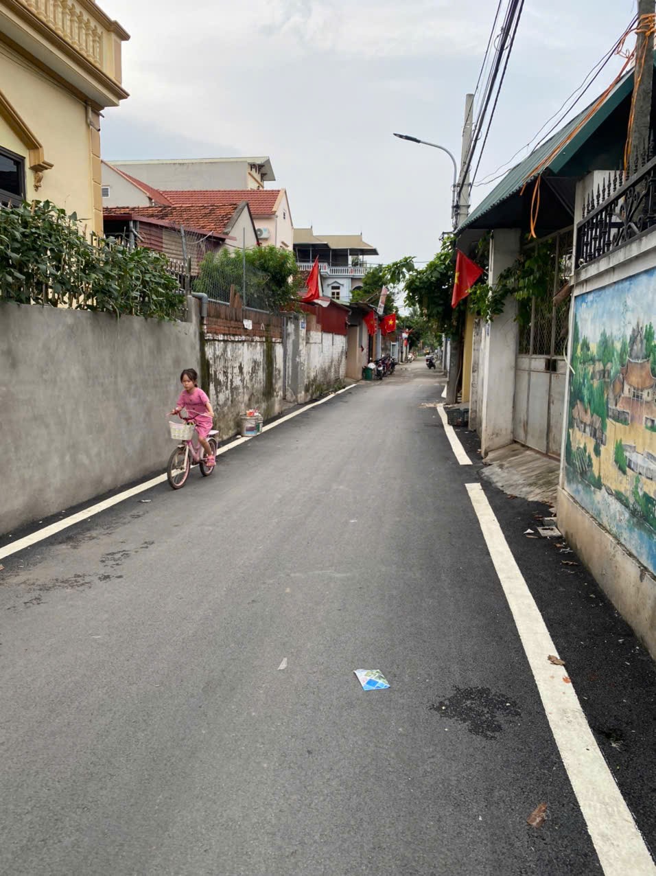 60M ĐẤT ĐỒNG THÁP - ĐAN PHƯỢNG - HÀ NỘI. Ô TÔ ĐÃ CỬA GIÁ CHO NHÀ ĐẦU TƯ 2