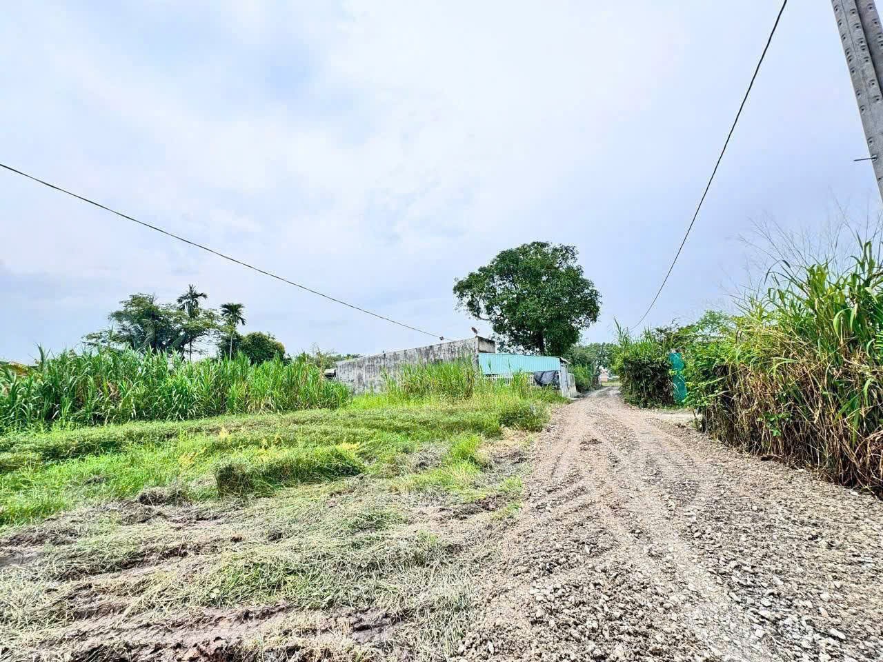 Bán 2 lô đất thổ cư liền kề  xã Đức Hòa Thượng dt 138m2 giá 750 triệu / lô 2