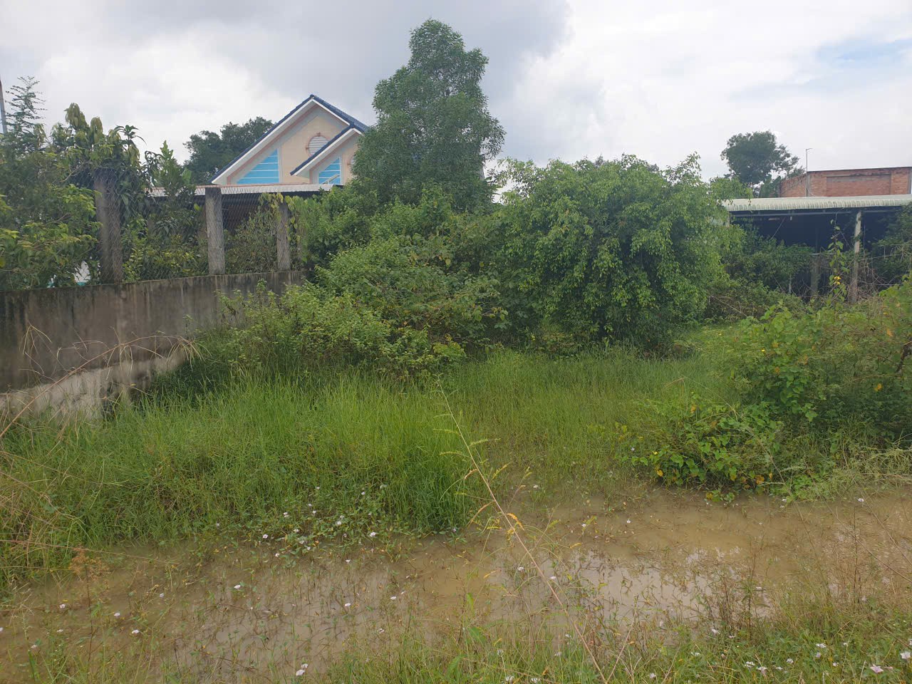 Bán đất full thổ mặt tiền nhựa Hồ Chí Minh, xã An Ninh Đông dt 500m2 giá 2,95 tỷ 4