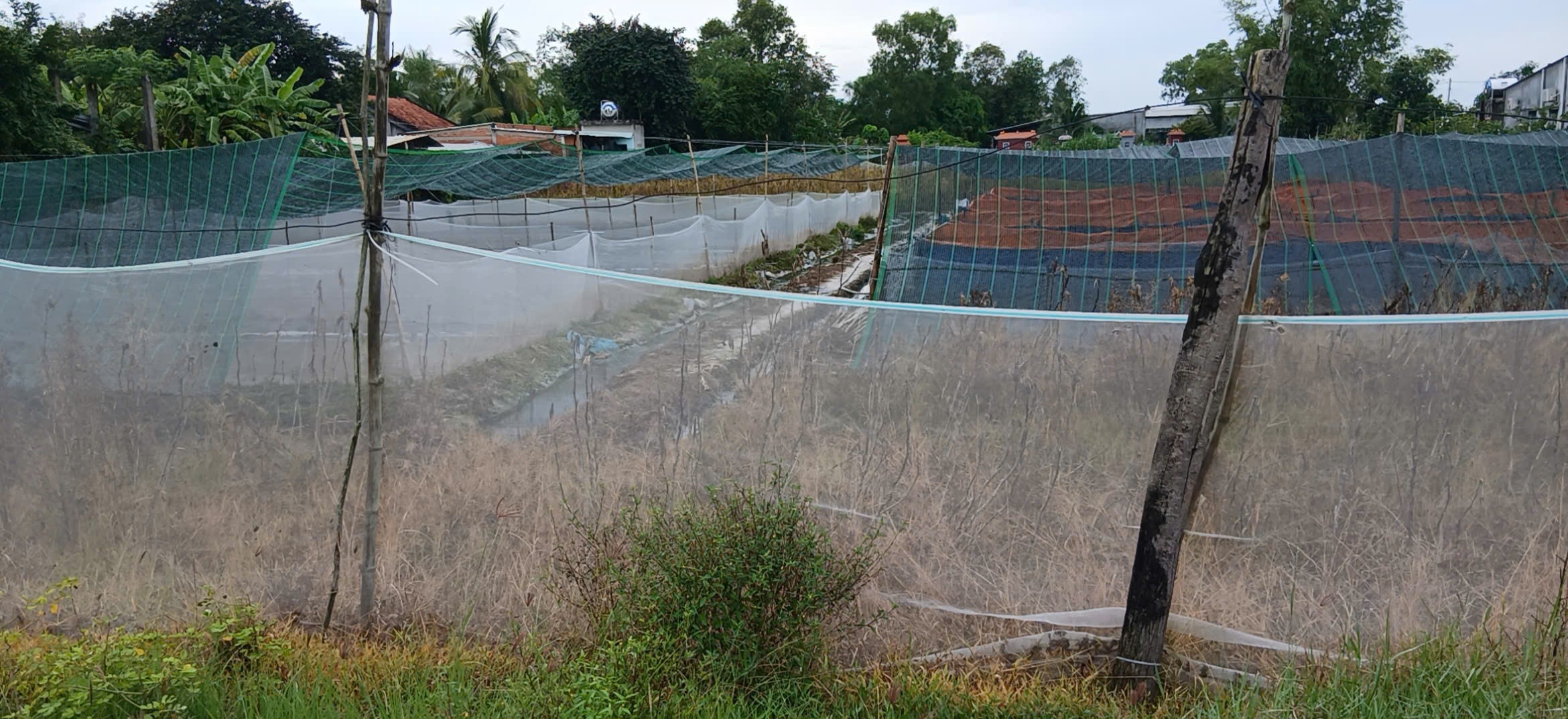 Bán lô đất thô cư xã An Ninh Đông tổng dt 950m2 full thổ , đường đá xanh 4m giá 2,3 tỷ