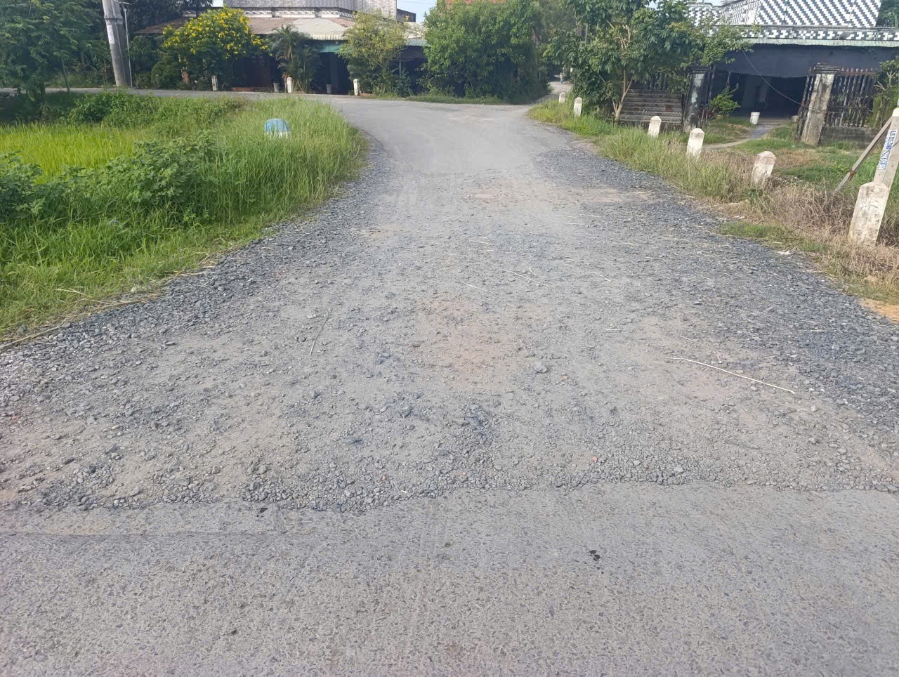 Bán lô đất thô cư xã An Ninh Đông tổng dt 950m2 full thổ , đường đá xanh 4m giá 2,3 tỷ 5