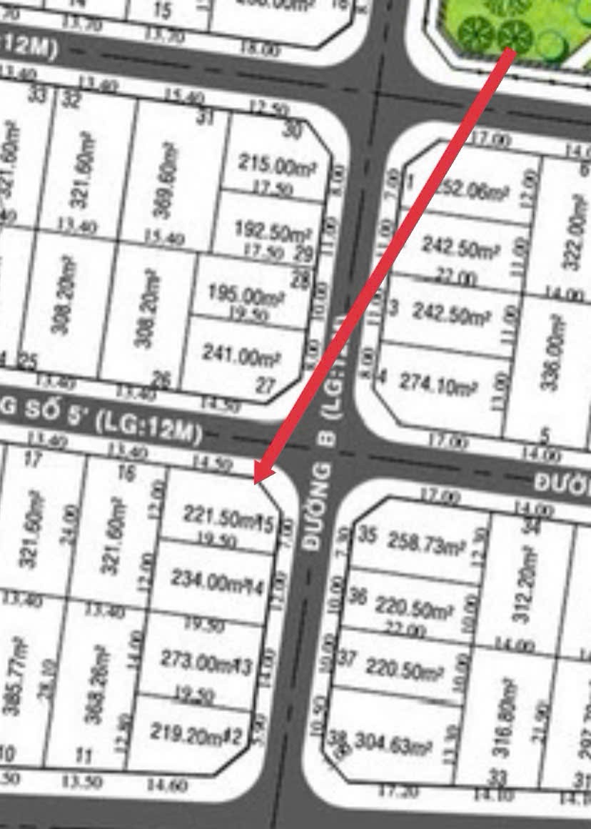 Cần bán Biệt thự Phường Thạnh Mỹ Lợi, Quận 2, Diện tích 221m², Giá 170 Triệu/m² 5