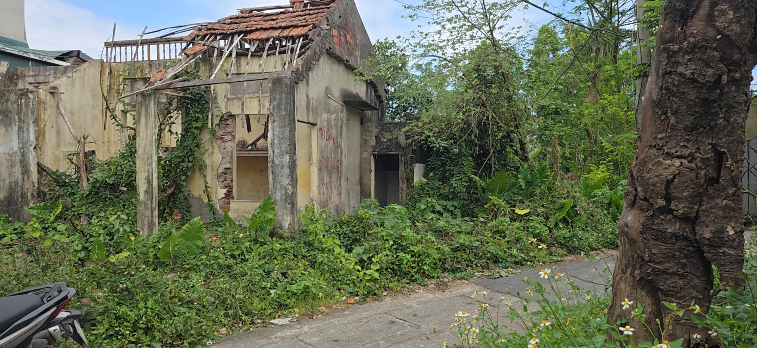 Bán đất đường Phú Mỹ, phường Biên Giang, quận Hà Đông (nay là phường Chương Mỹ), Hà Nội. 3
