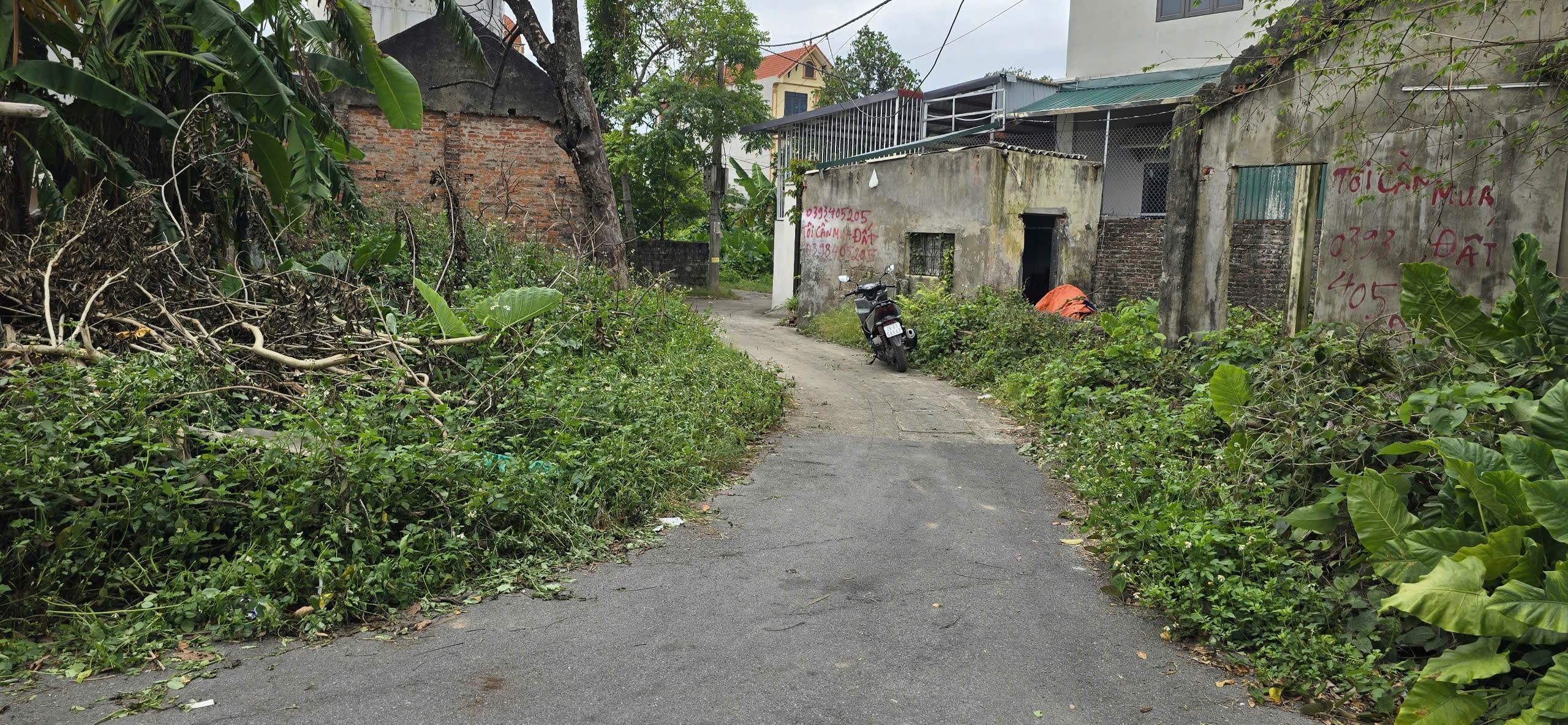 Bán đất đường Phú Mỹ, phường Biên Giang, quận Hà Đông (nay là phường Chương Mỹ), Hà Nội. 5