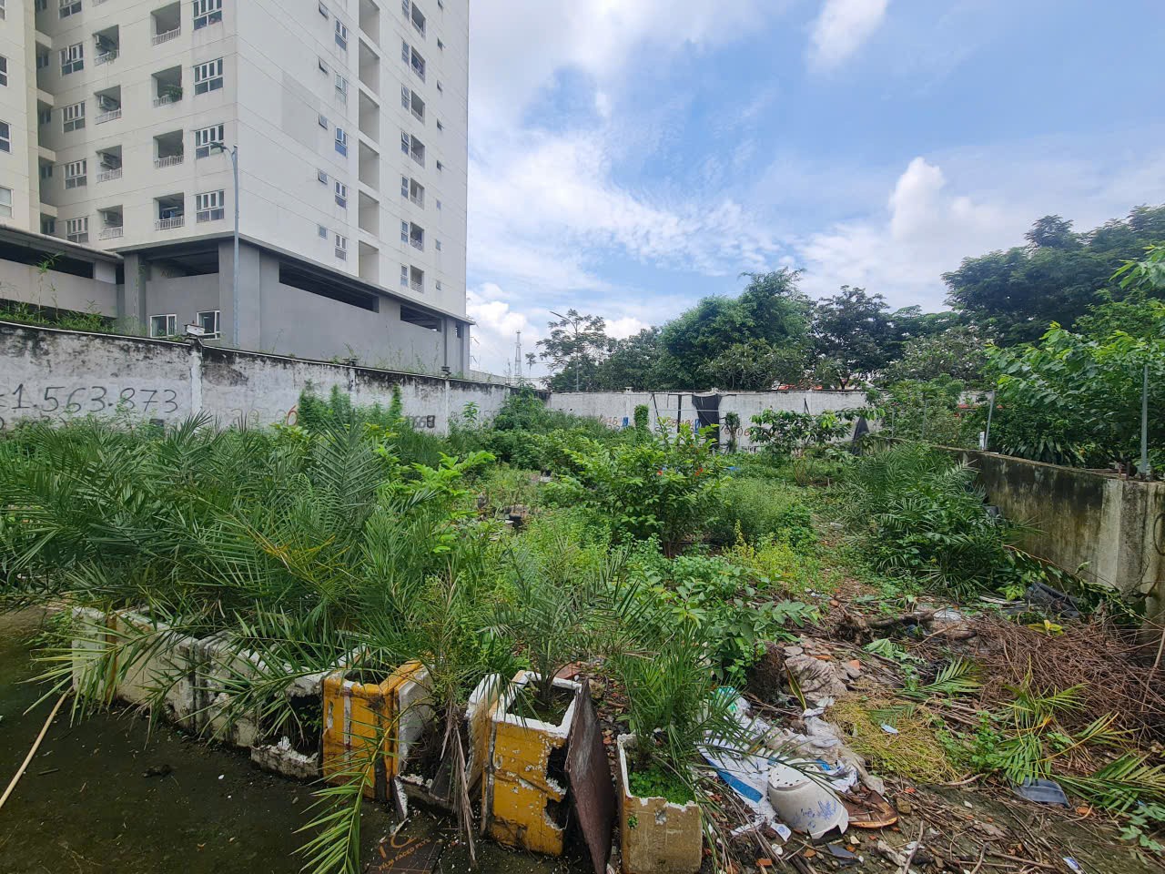 Cần bán Đất Phường Trường Thọ, Thủ Đức, Diện tích 331m², Giá 060 Triệu/m² 6