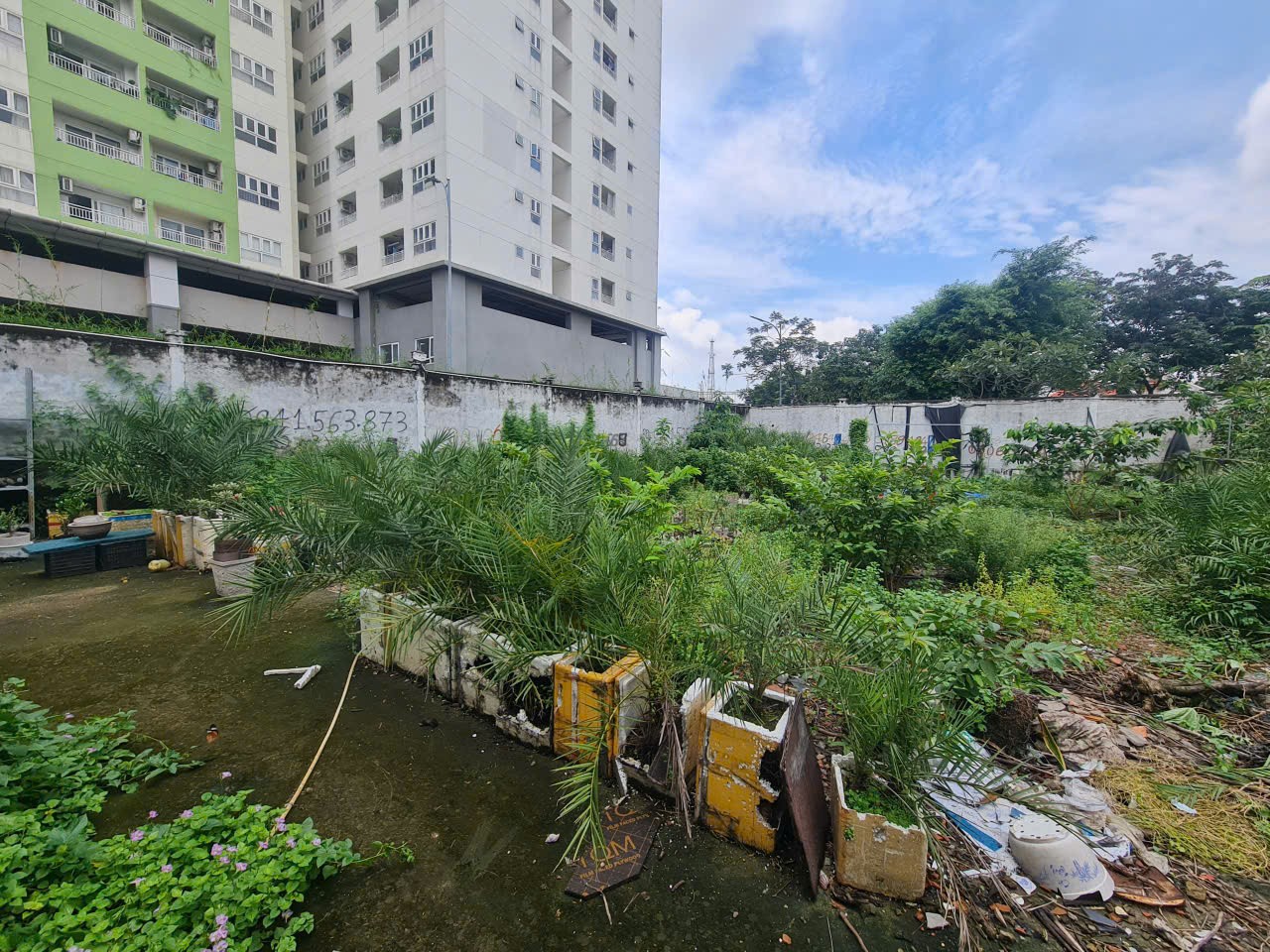 Cần bán Đất Phường Trường Thọ, Thủ Đức, Diện tích 331m², Giá 060 Triệu/m² 4