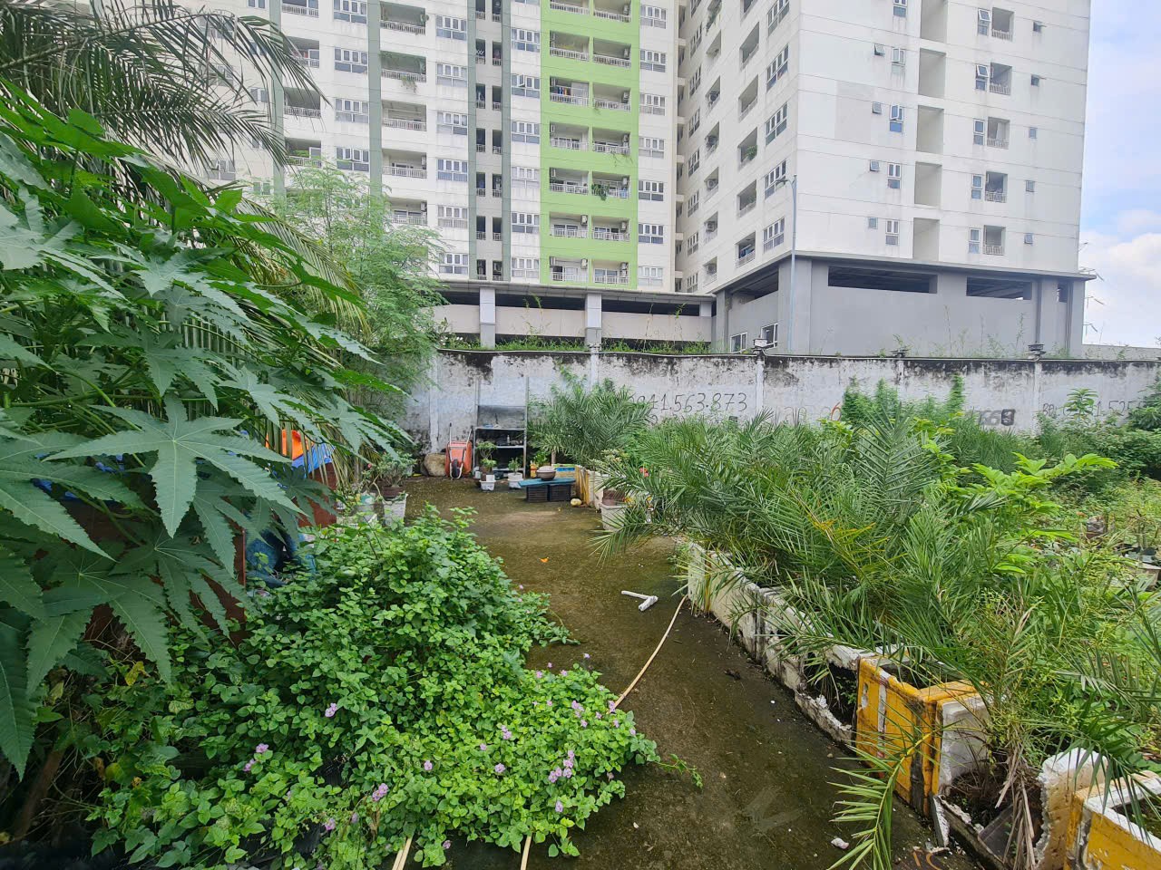 Cần bán Đất Phường Trường Thọ, Thủ Đức, Diện tích 331m², Giá 060 Triệu/m² 5