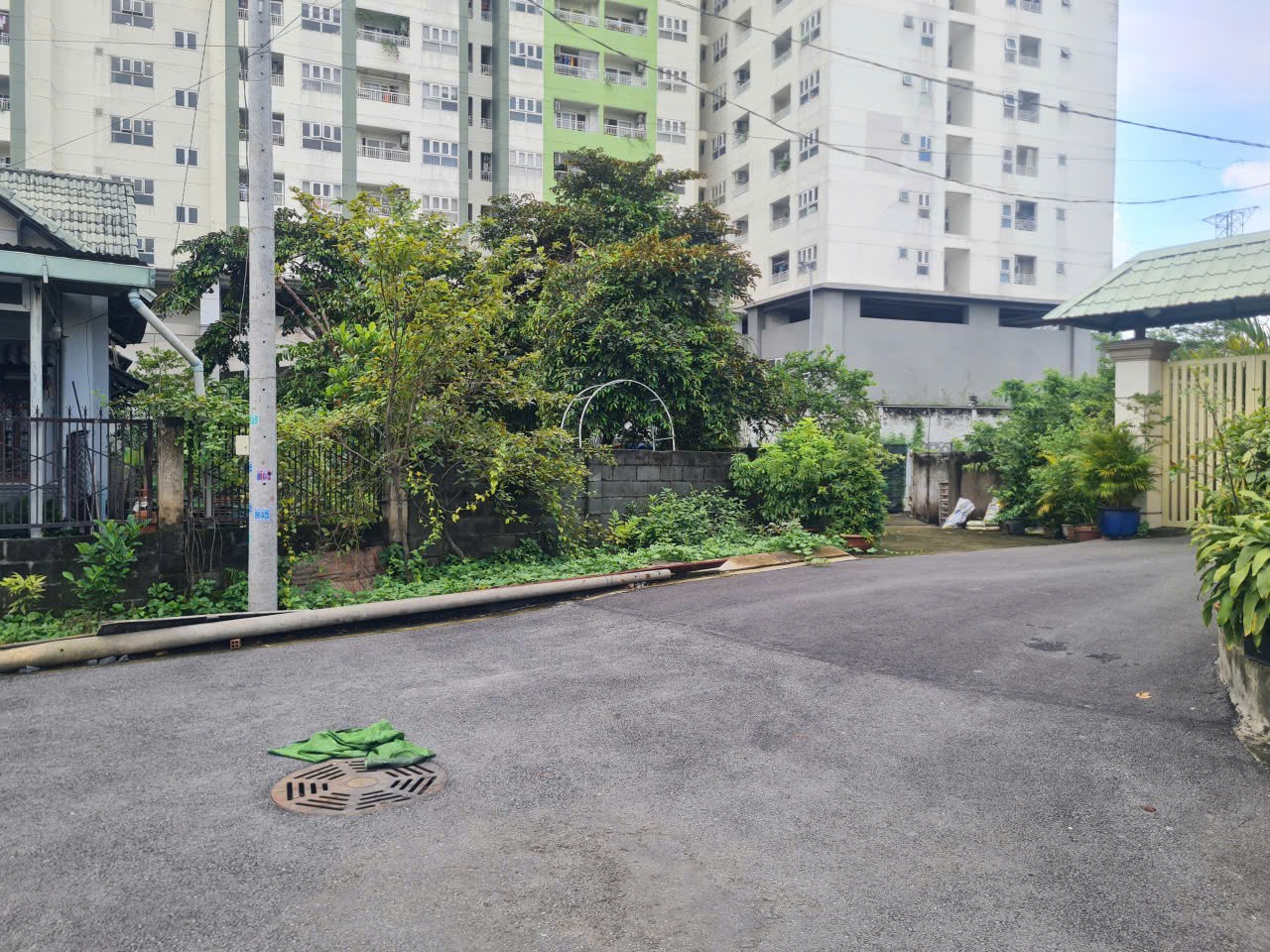 Cần bán Đất Phường Trường Thọ, Thủ Đức, Diện tích 331m², Giá 060 Triệu/m² 7