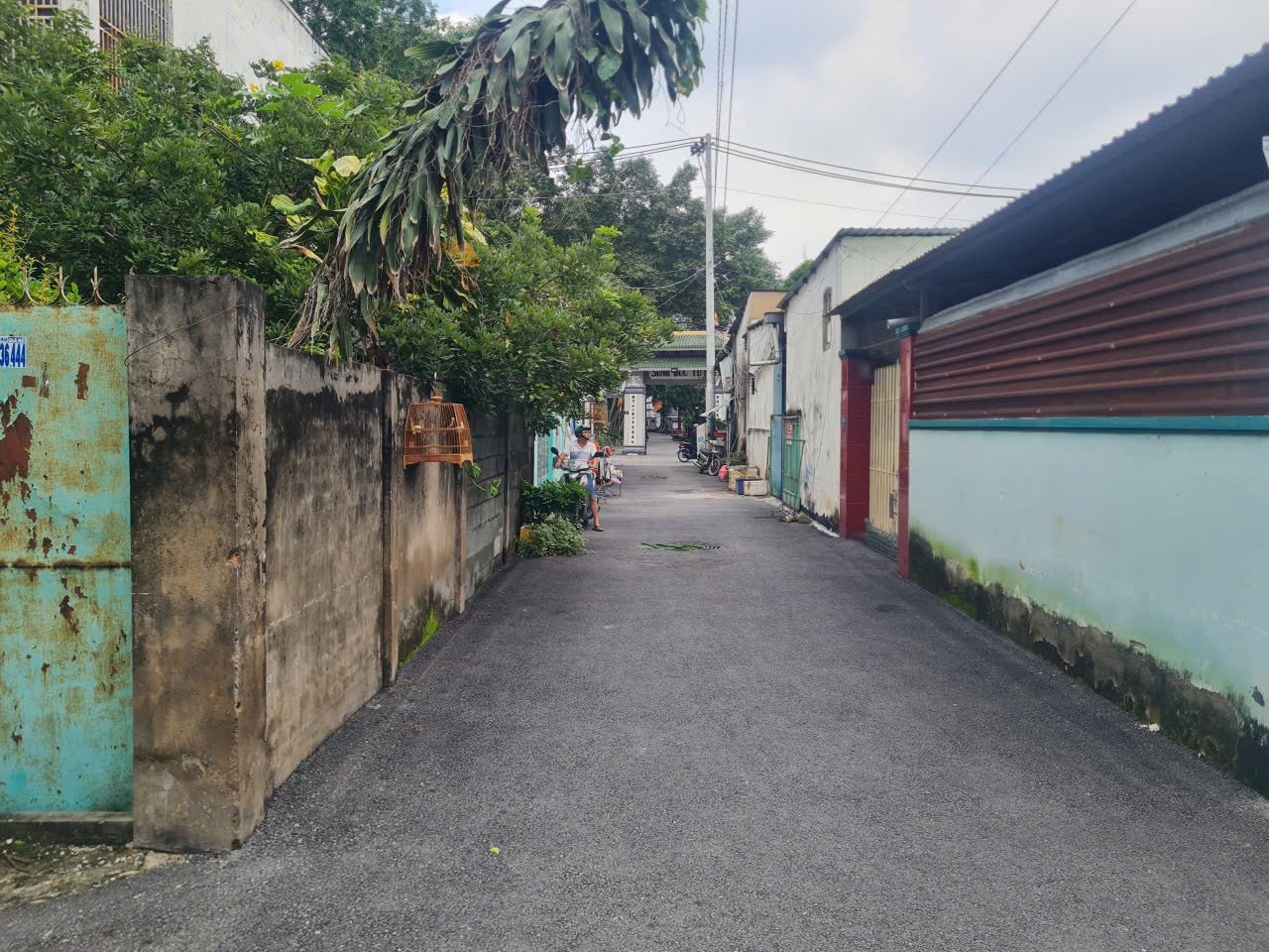 Cần bán Đất Phường Trường Thọ, Thủ Đức, Diện tích 331m², Giá 060 Triệu/m² 2