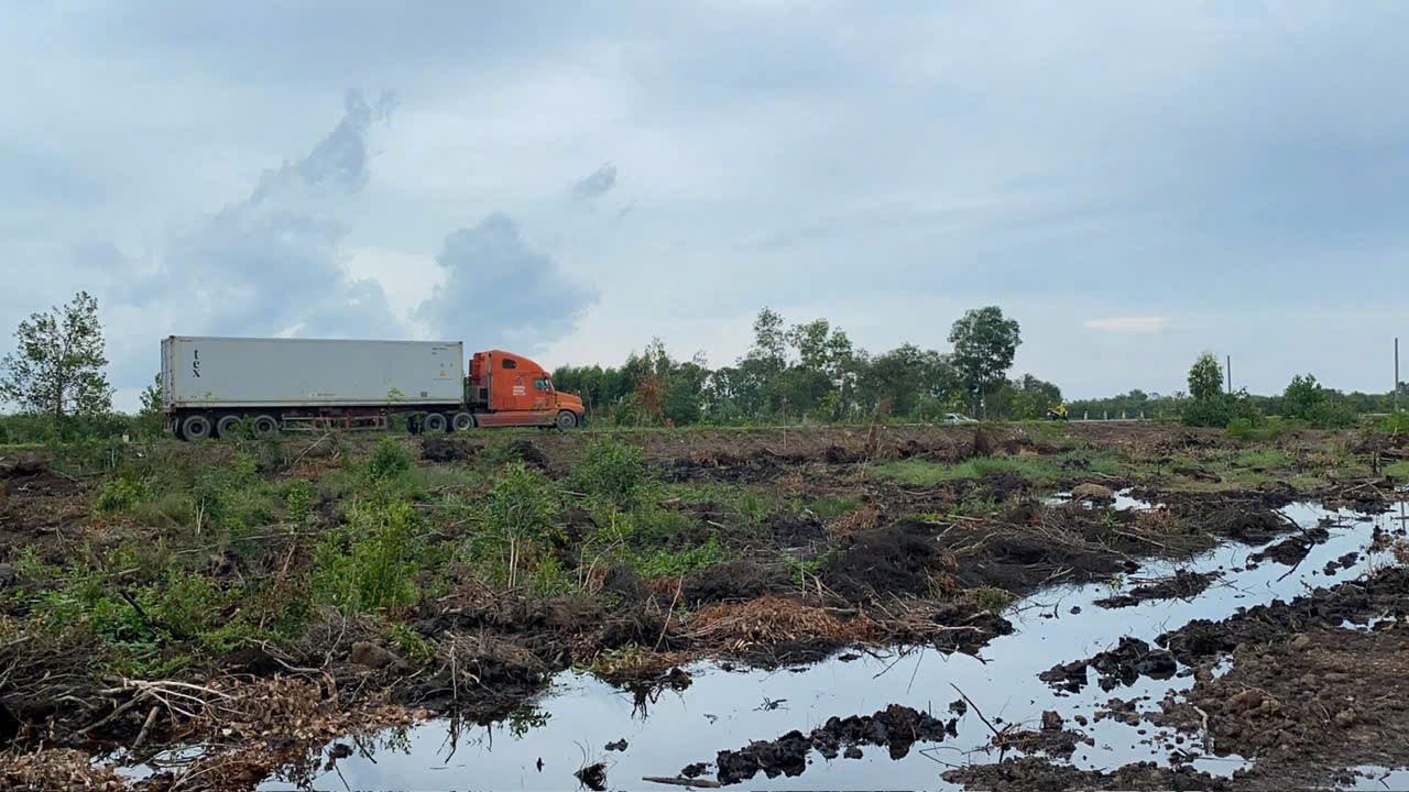 Bán 46.000m2 đất rừng sản xuất quy hoạch lên SKC xã Mỹ Thạnh Đông , Đức Huệ giá 17 tỷ