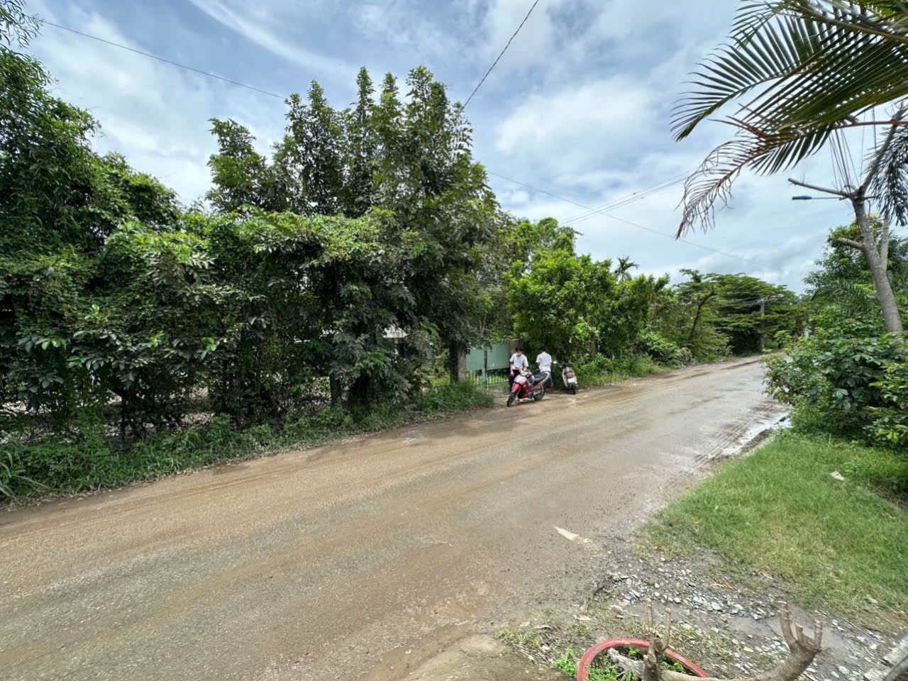 Bán nhà vườn 5100m2 (492m2 thổ) đường nhựa xã Thanh Phú, Bến Lức giá 37 tỷ 2