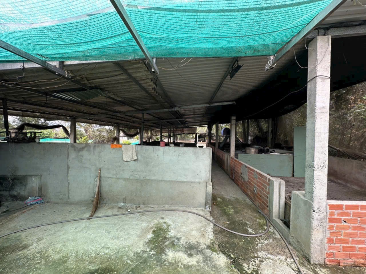 Bán nhà vườn 5100m2 (492m2 thổ) đường nhựa xã Thanh Phú, Bến Lức giá 37 tỷ 3