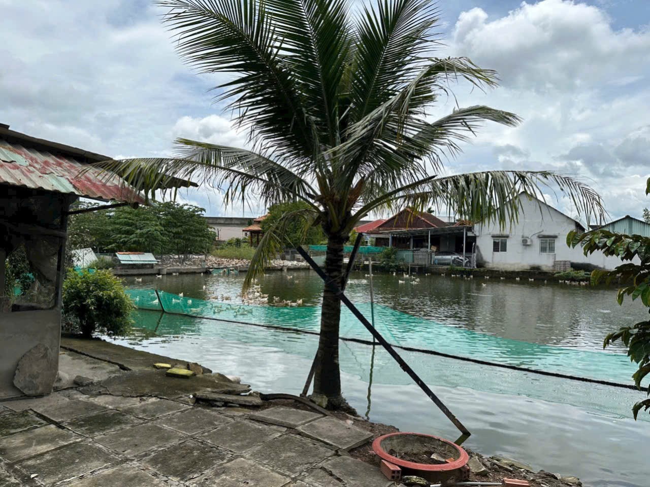 Bán nhà vườn 5100m2 (492m2 thổ) đường nhựa xã Thanh Phú, Bến Lức giá 37 tỷ 5