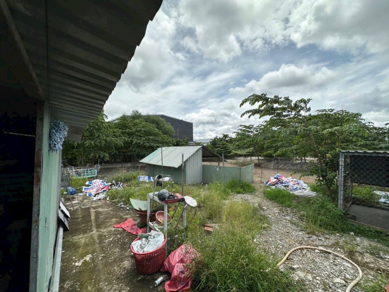 Bán nhà vườn 5100m2 (492m2 thổ) đường nhựa xã Thanh Phú, Bến Lức giá 37 tỷ 6