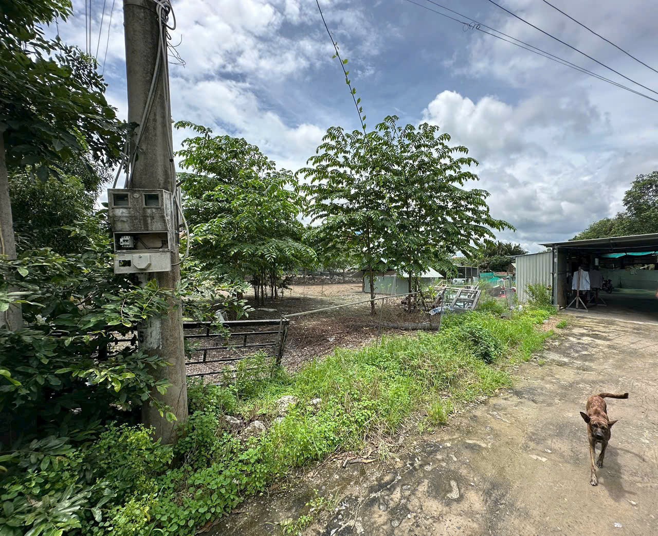 Bán nhà vườn 5100m2 (492m2 thổ) đường nhựa xã Thanh Phú, Bến Lức giá 37 tỷ 7