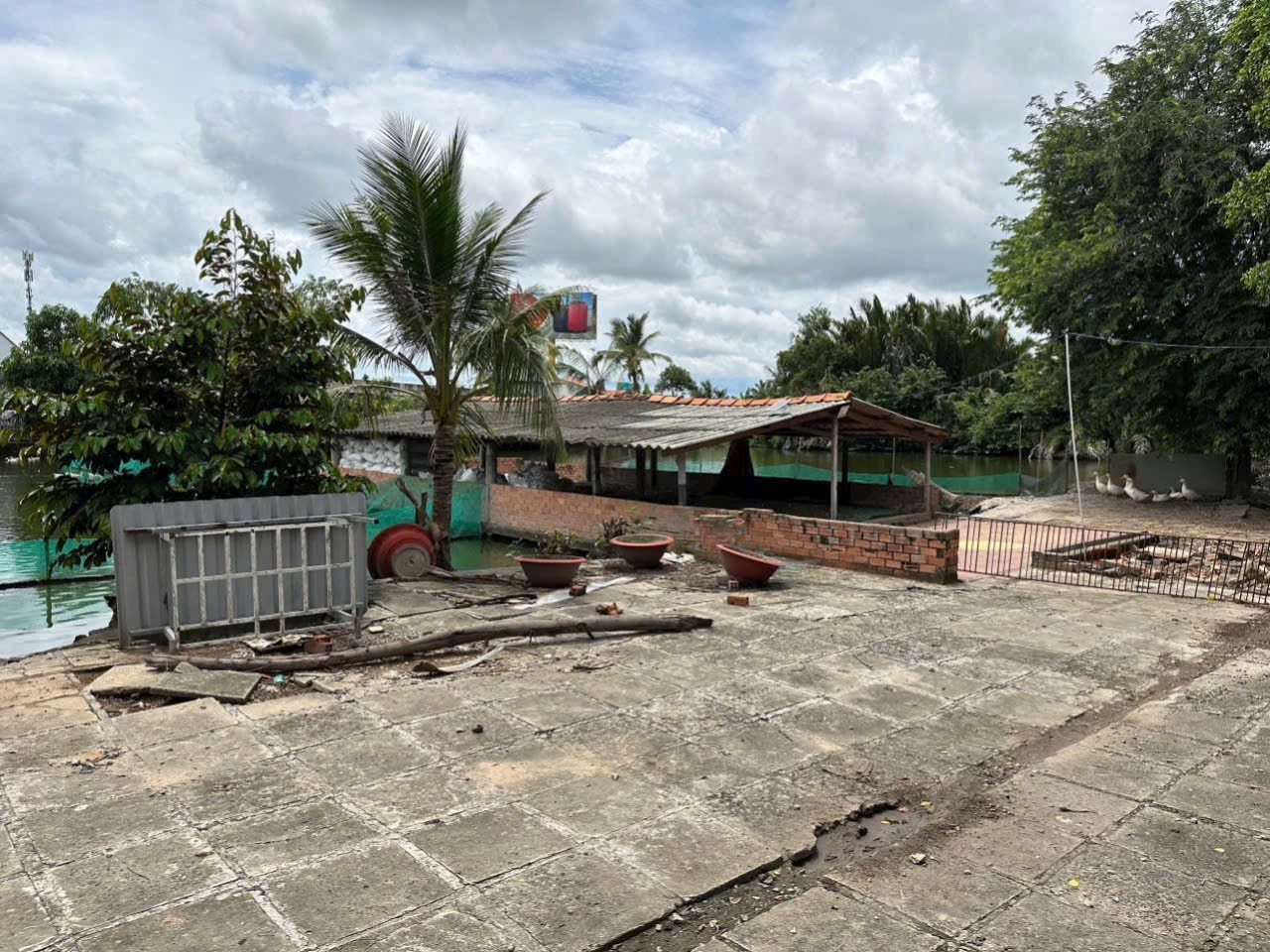 Bán nhà vườn 5100m2 (492m2 thổ) đường nhựa xã Thanh Phú, Bến Lức giá 37 tỷ 8