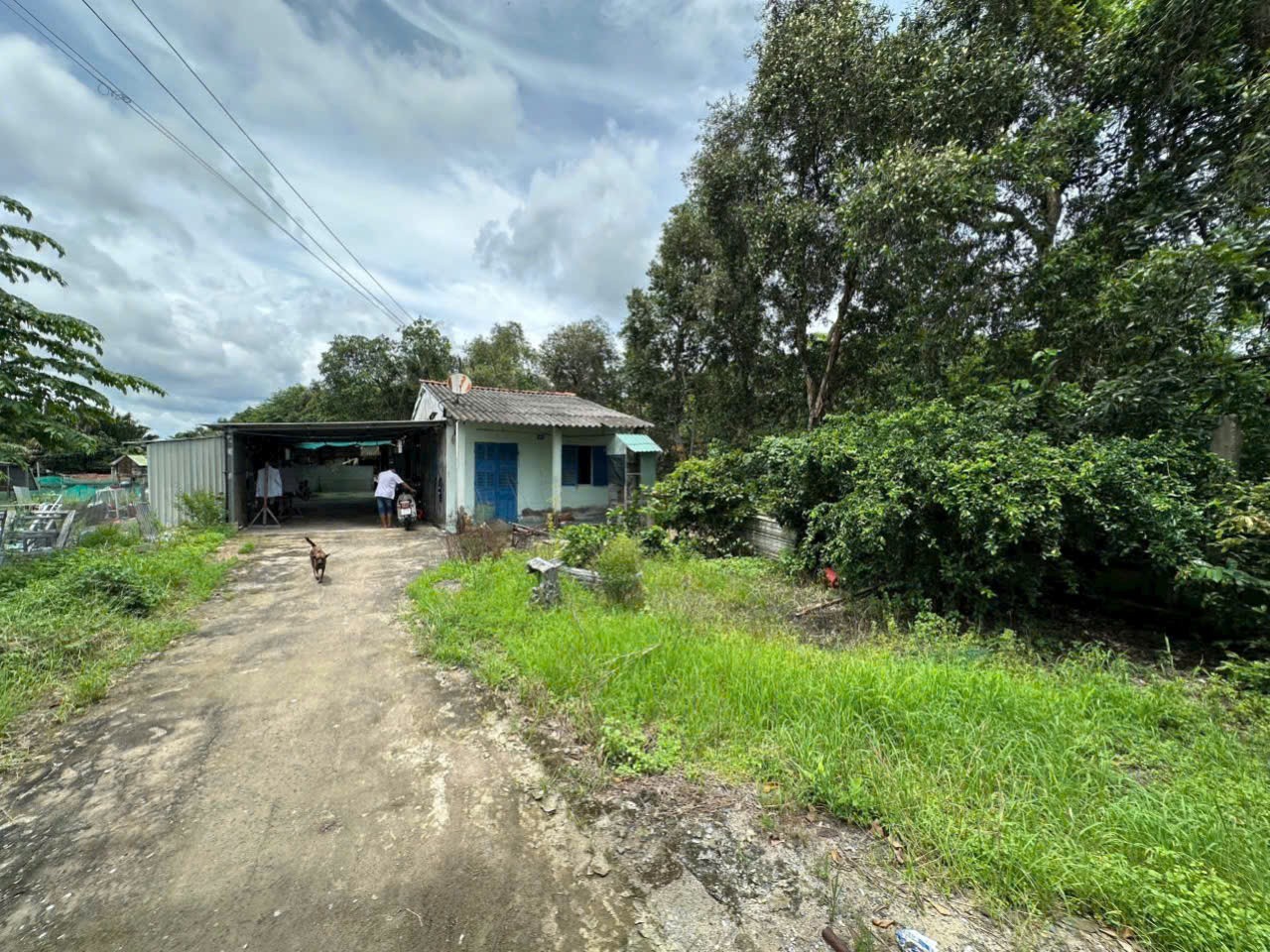 Bán nhà vườn 5100m2 (492m2 thổ) đường nhựa xã Thanh Phú, Bến Lức giá 37 tỷ 10