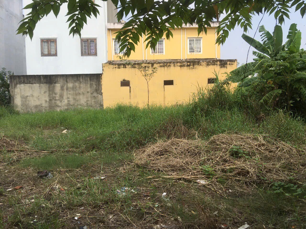 Cần bán Đất Phường Tam Phú, Thủ Đức, Diện tích 1525m², Giá 061 Tỷ 6