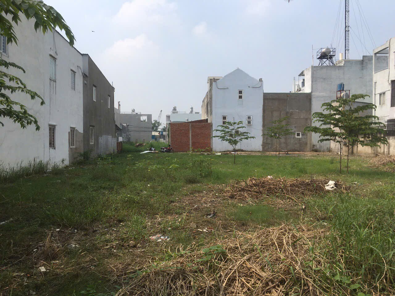 Cần bán Đất Phường Tam Phú, Thủ Đức, Diện tích 1525m², Giá 061 Tỷ 3