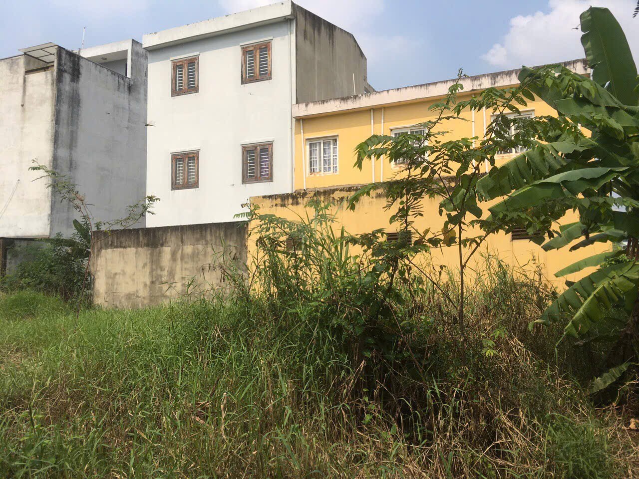 Cần bán Đất Phường Tam Phú, Thủ Đức, Diện tích 1525m², Giá 061 Tỷ 7