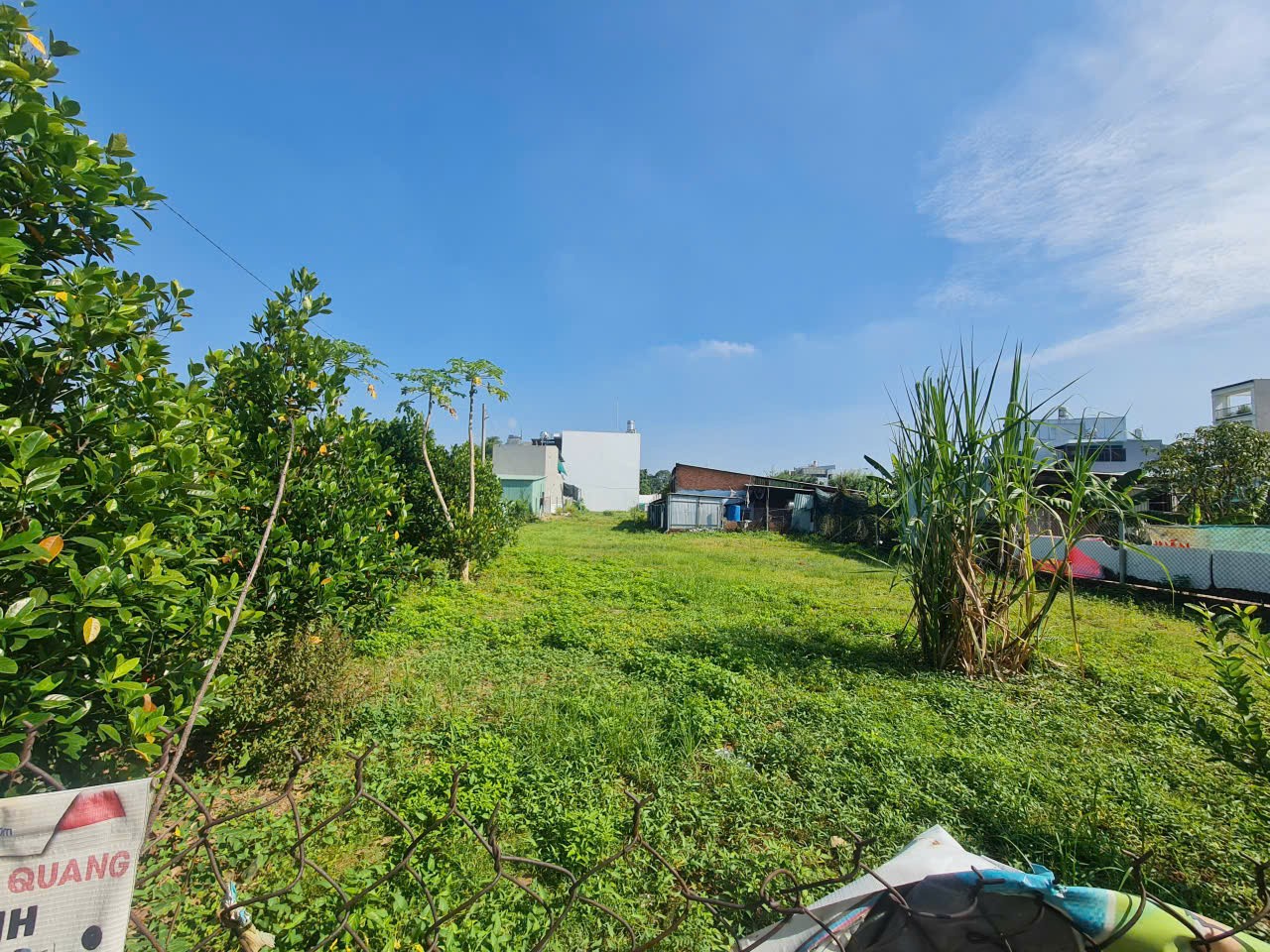 Cần bán Đất Phường Tăng Nhơn Phú A, Quận 9, Diện tích 1011m², Giá 16 Tỷ 5