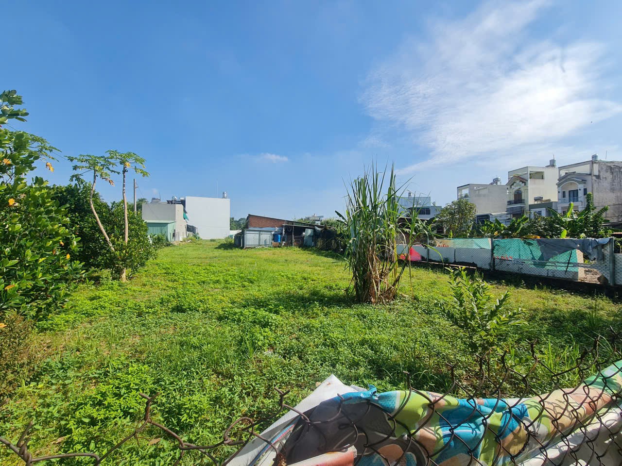 Cần bán Đất Phường Tăng Nhơn Phú A, Quận 9, Diện tích 1011m², Giá 16 Tỷ 2