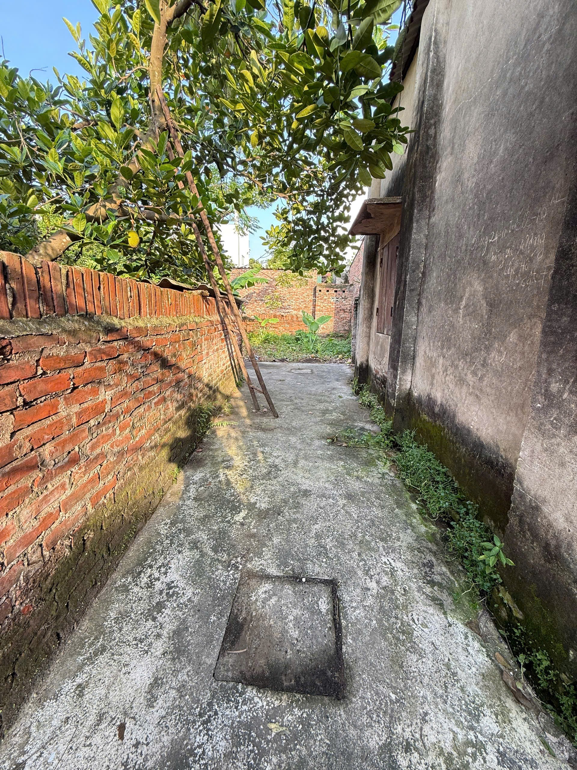 Bán nhanh đất Giao Tất A, Cách 10m ra đường ô tô tải, Chỉ nhỉnh 2 tỷ. LH: 0379.483.926 3