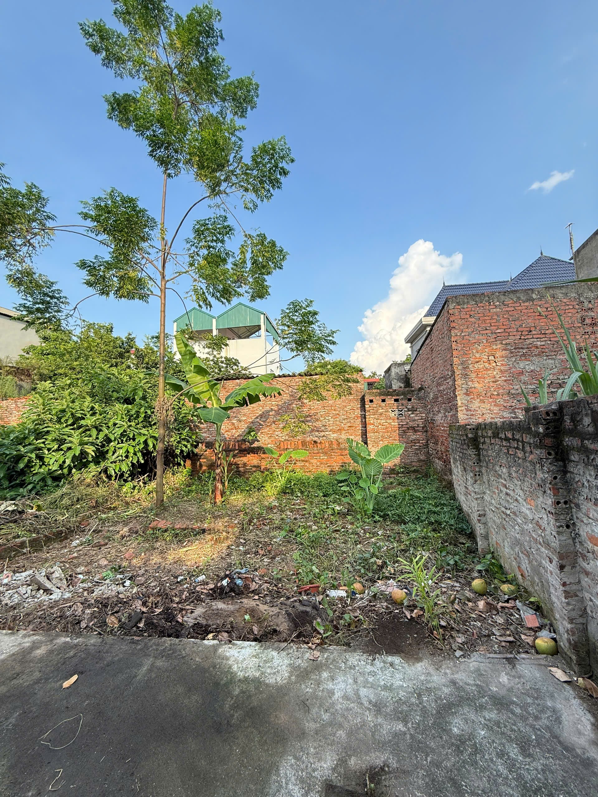 Bán nhanh đất Giao Tất A, Cách 10m ra đường ô tô tải, Chỉ nhỉnh 2 tỷ. LH: 0379.483.926