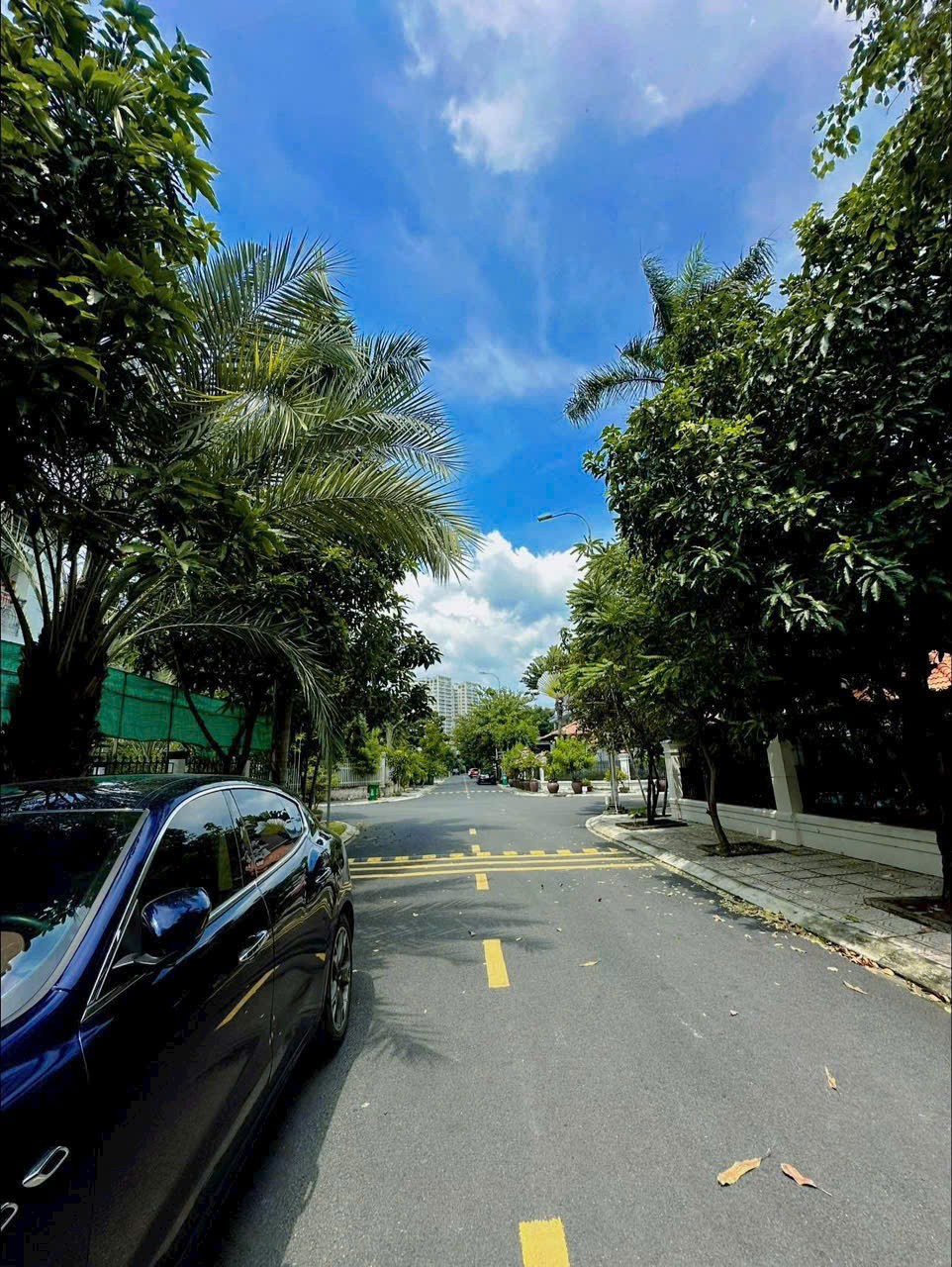 Cần bán Biệt thự Phường Thảo Điền, Quận 2, Diện tích 417m², Giá 110 Tỷ 4