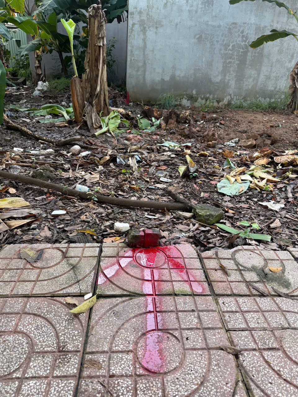 Cần bán Đất Phường Long Trường, Quận 9, Diện tích 88m², Giá 6.3 Tỷ 5