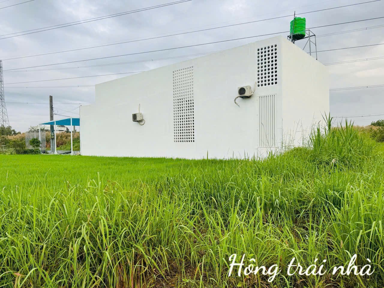 Bán nhà cấp 4 mới xây xã Tân Trạch, Cần Đước tdt 182m2 3pn 4wc giá 4,5 tỷ 2