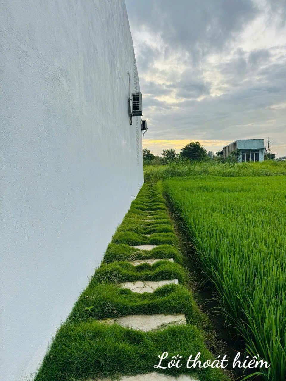 Bán nhà cấp 4 mới xây xã Tân Trạch, Cần Đước tdt 182m2 3pn 4wc giá 4,5 tỷ 8