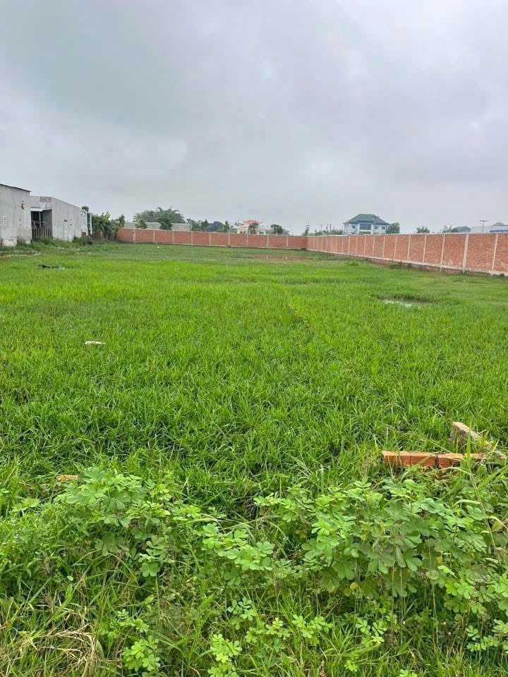 Bán đất thổ + lúa ,mặt tiền đường nhựa xã Đức Lập Hạ , dt 1500m2 ( 288m2 thổ ) giá 4,4 tỷ 3