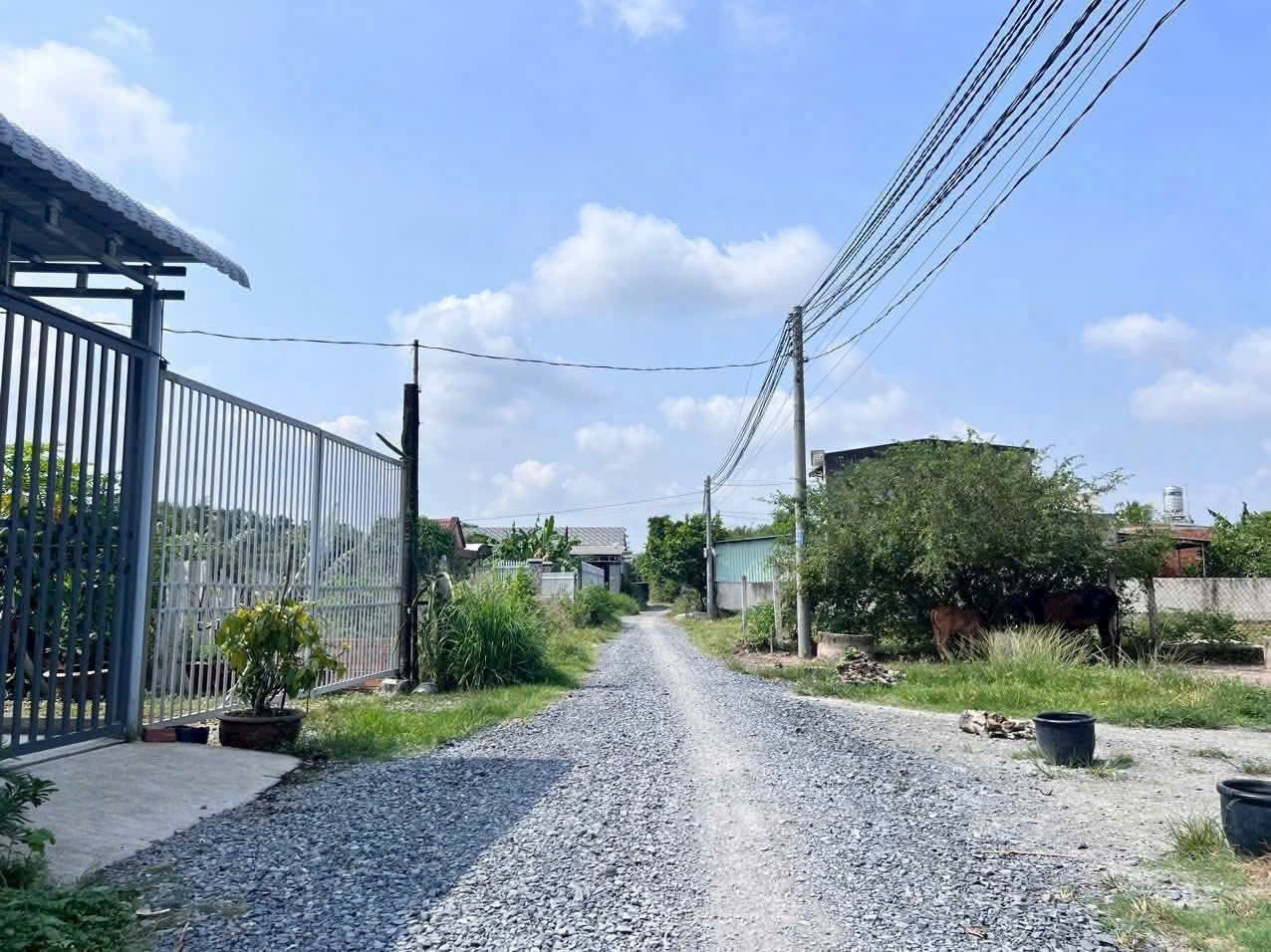 Bán đất thổ + lúa xã Đức Hòa Thượng tdt 1180m2 ( 175m2 thổ) đường đá xanh giá 2,15 tỷ 3