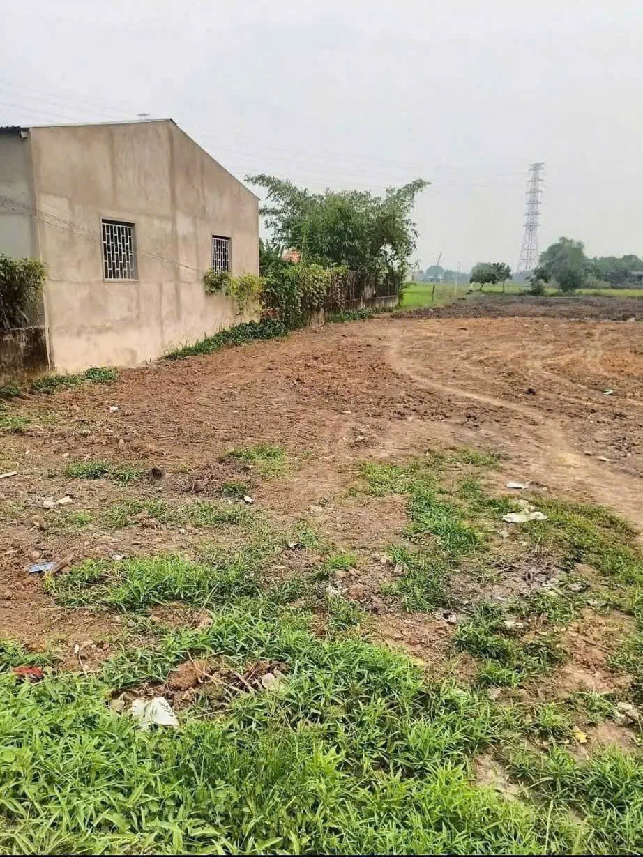 Bán đất lúa mặt tiền đường nhựa, thị trấn Hậu Nghĩa, Đức Hòa dt 2500m2 giá 5,5 tỷ 3