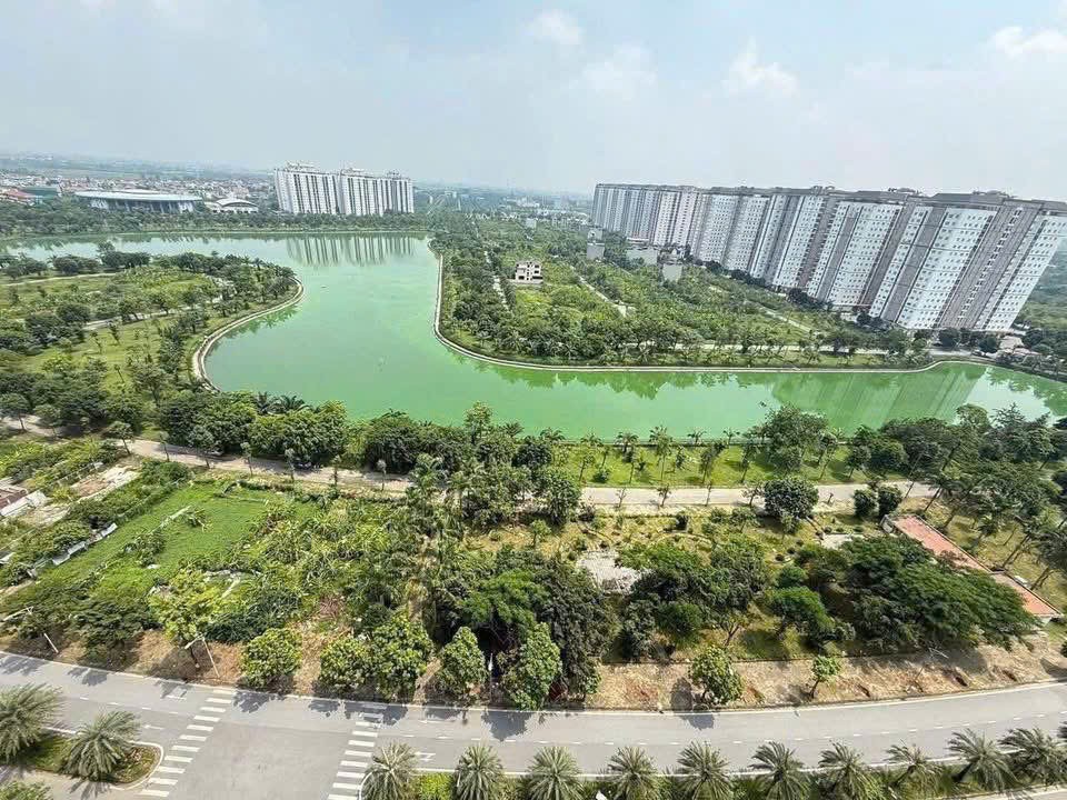 BÁN CĂN HỘ CHUNG CƯ THANH HÀ – VIEW HỒ, Ở NGAY 8