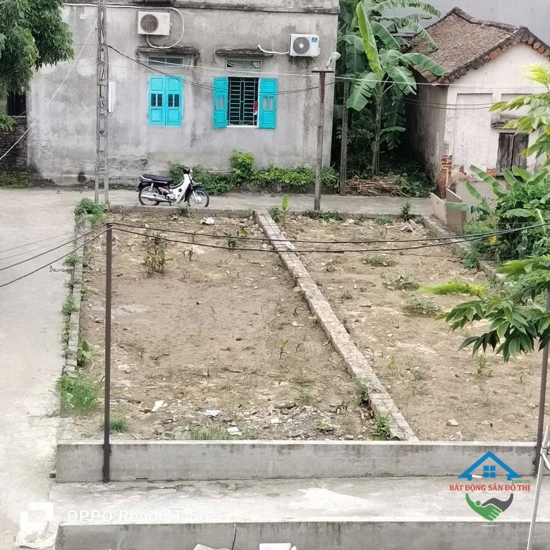 Thoát Vốn - Bán đất Đại Định Tam Hưng Thanh Oai, Lô góc 67m2 gần nhiều tiện ích, giá đầu tư