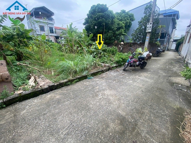 Thoát Vốn - Bán đất Đại Định Tam Hưng Thanh Oai, Lô góc 67m2 gần nhiều tiện ích, giá đầu tư 2