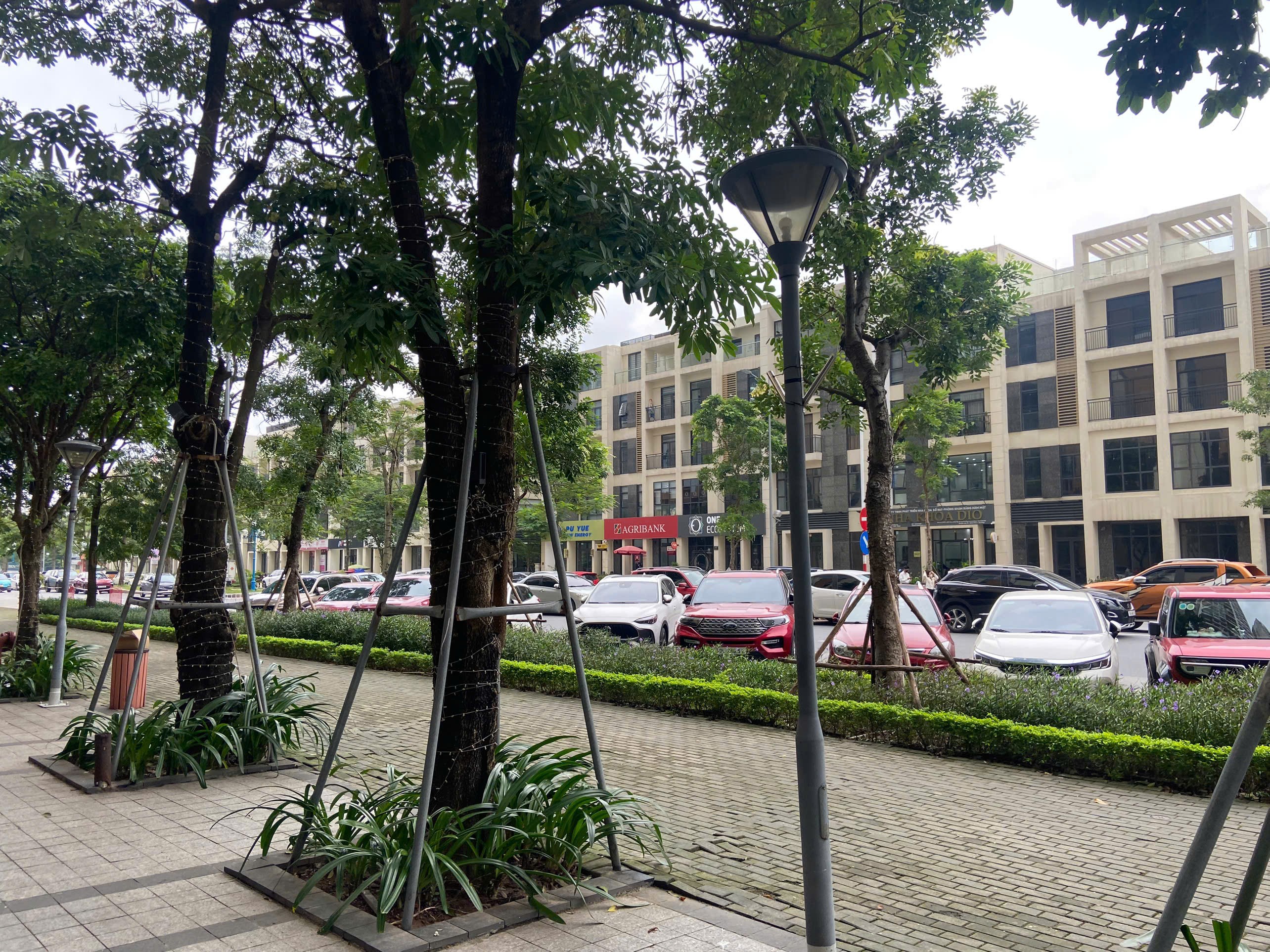 CHO THUÊ MẶT BẰNG THƯƠNG MẠI 243m2 – TẦNG 1 DỰ ÁN 6TH ELEMENT 8