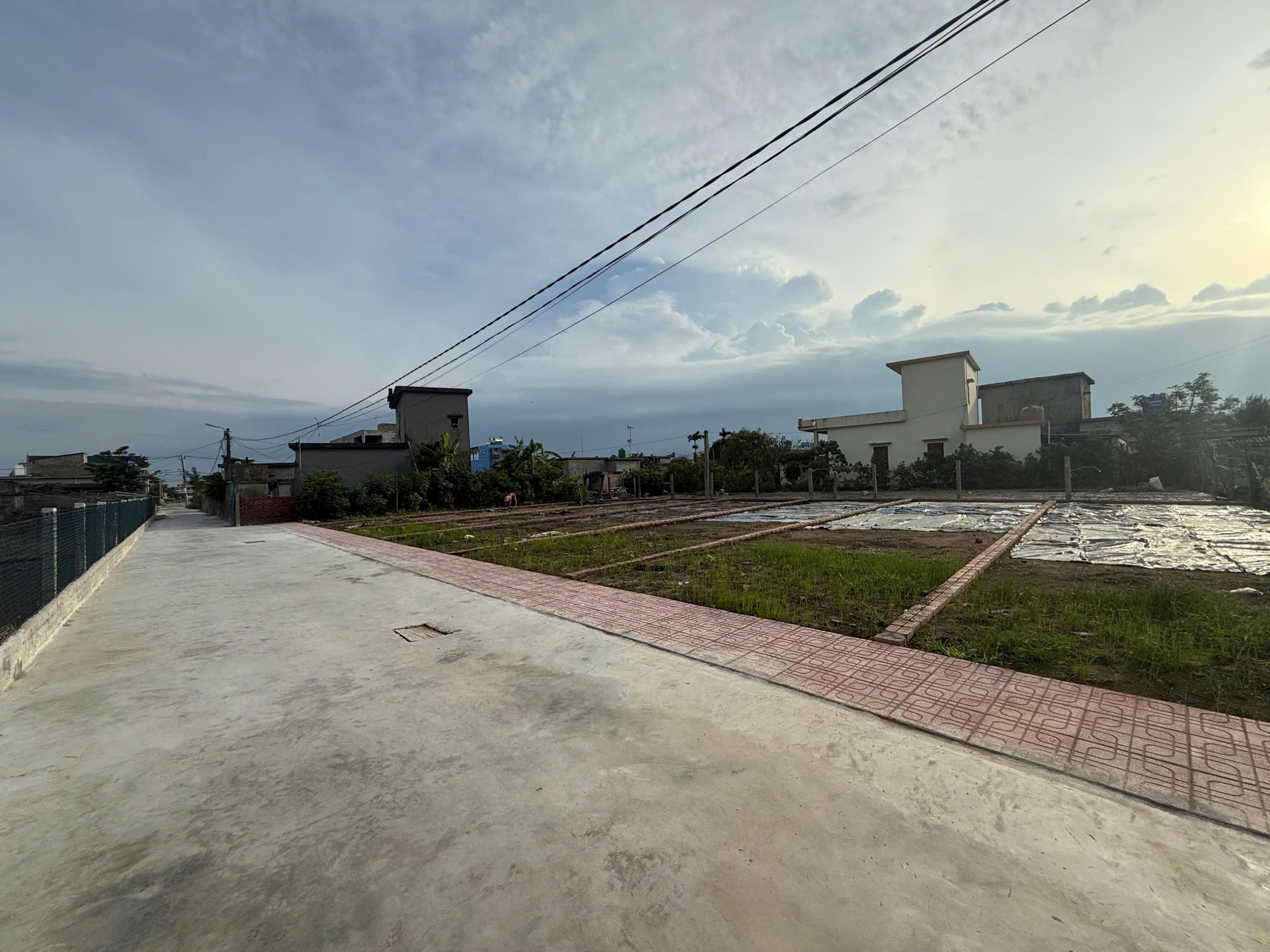 Cần bán Đất đường Quốc Lộ 37B, Xã Giao Phong, Diện tích 87m², Giá 22 Triệu/m² 3