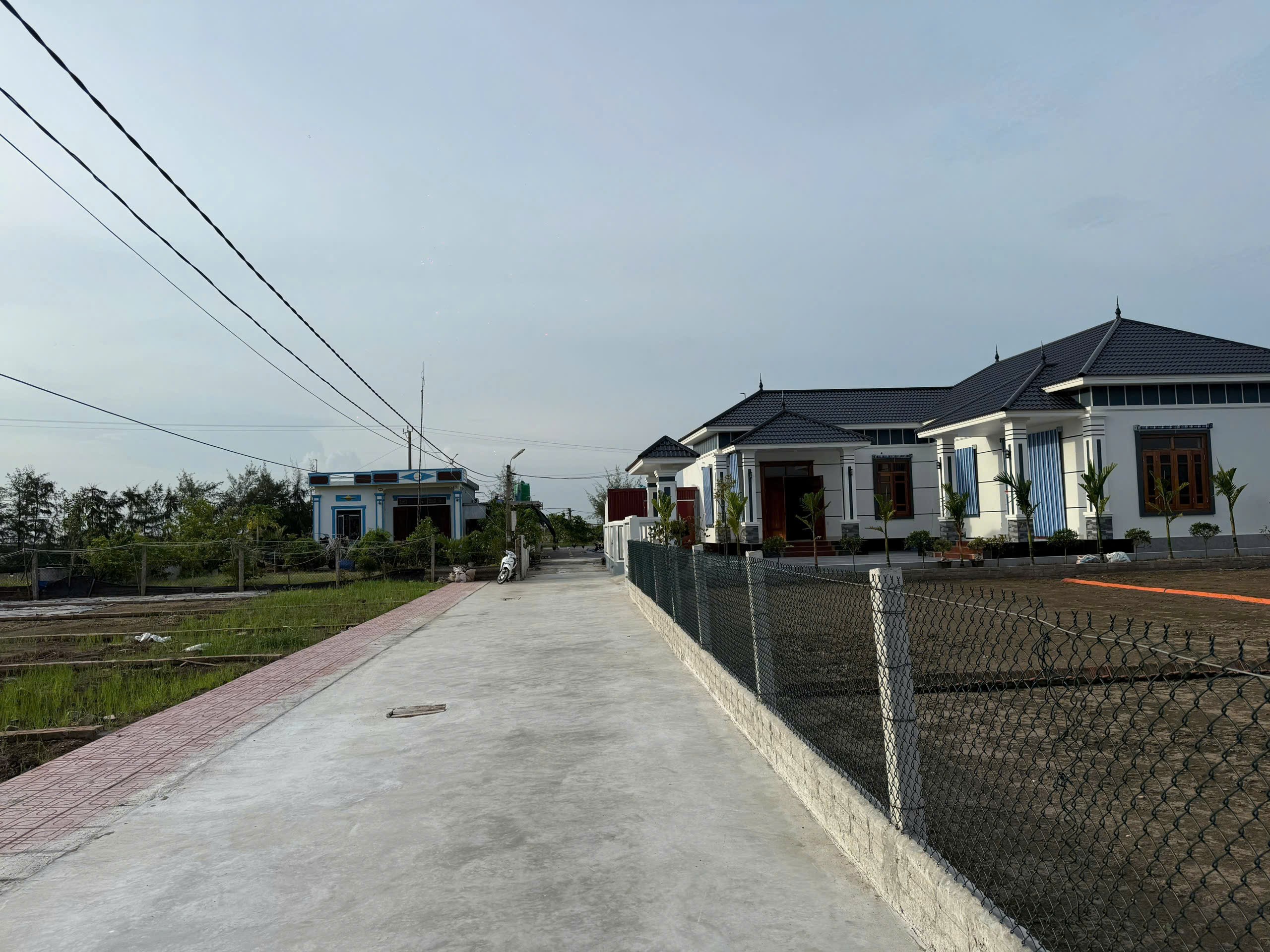 Cần bán Đất đường Quốc Lộ 37B, Xã Giao Phong, Diện tích 87m², Giá 22 Triệu/m² 4