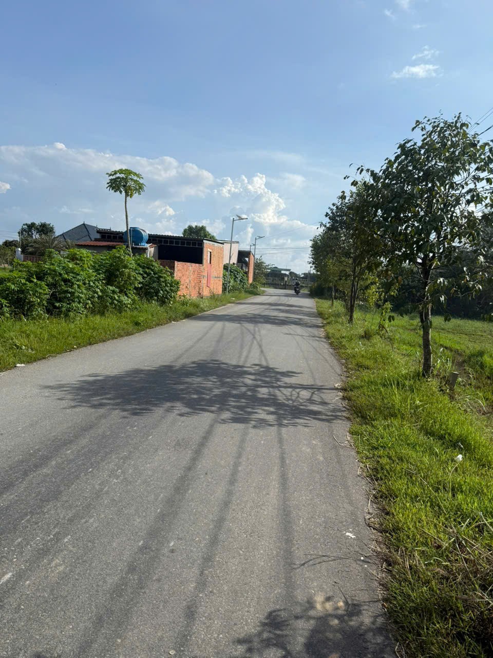 Bán đất mặt tiền đường nhựa thị trấn Hậu Nghĩa tdt 885m2 ( có 200m2 thổ) giá 4,2 tỷ 3
