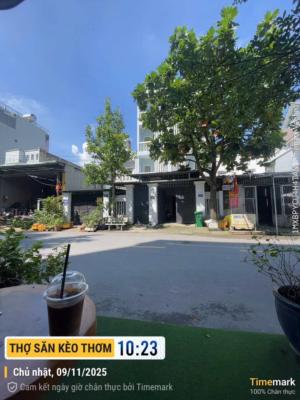 Cần bán Đất Phường Bình Thọ, Thủ Đức, Diện tích 120m², Giá 24 Tỷ 2