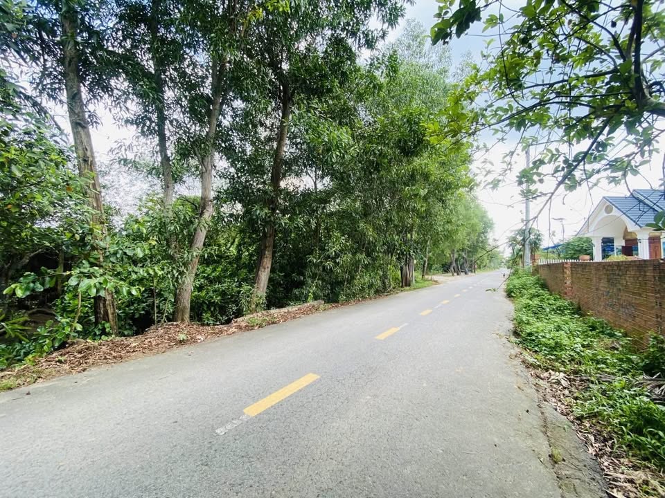 Cần bán Đất Phường Long Phước, Quận 9, Diện tích 2142m², Giá 25.7 Tỷ 4