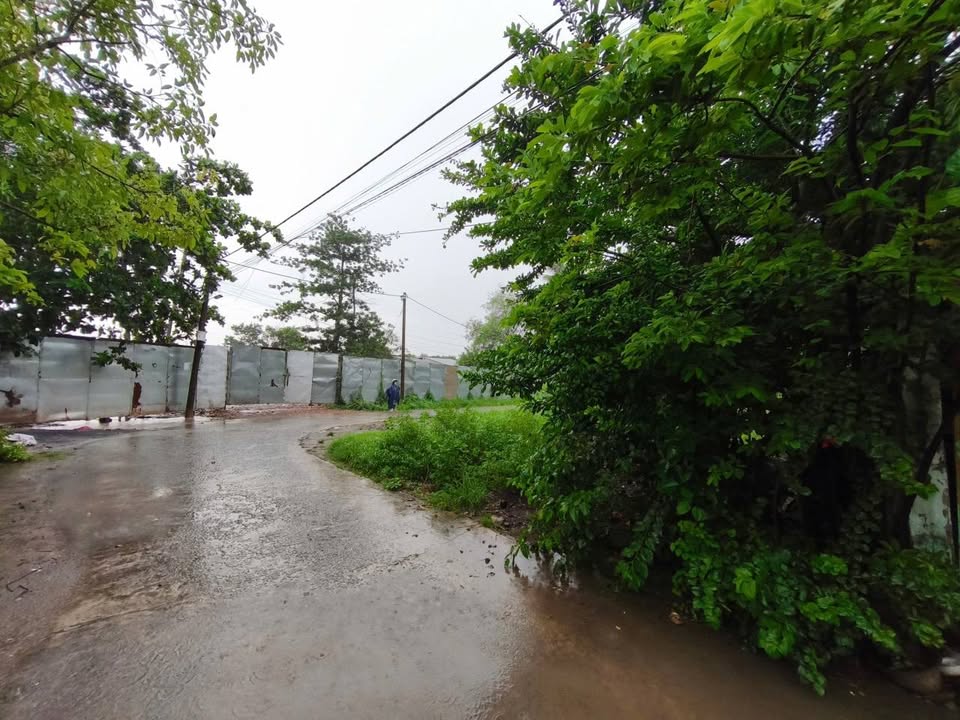 Cần bán Đất Phường Long Phước, Quận 9, Diện tích 2142m², Giá 25.7 Tỷ 2