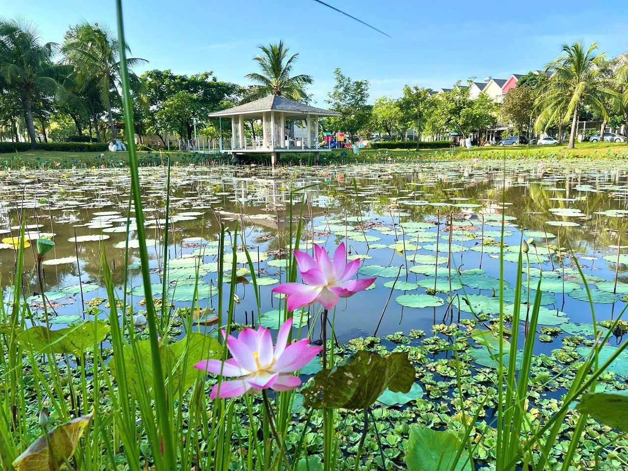 Cần bán Nhà ở, nhà cấp 4, nhà hẻm Phường Phước Long A, Quận 9, Diện tích 182m², Giá 12 Tỷ 3