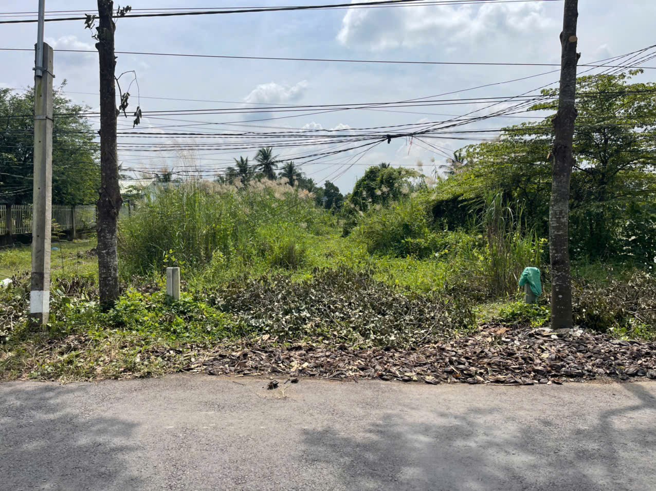 Bán nền thổ cư dt 200m2 mặt tiền đường nhựa ấp 10, xã Lương Hòa, Bến Lức  giá 2,2 tỷ 3