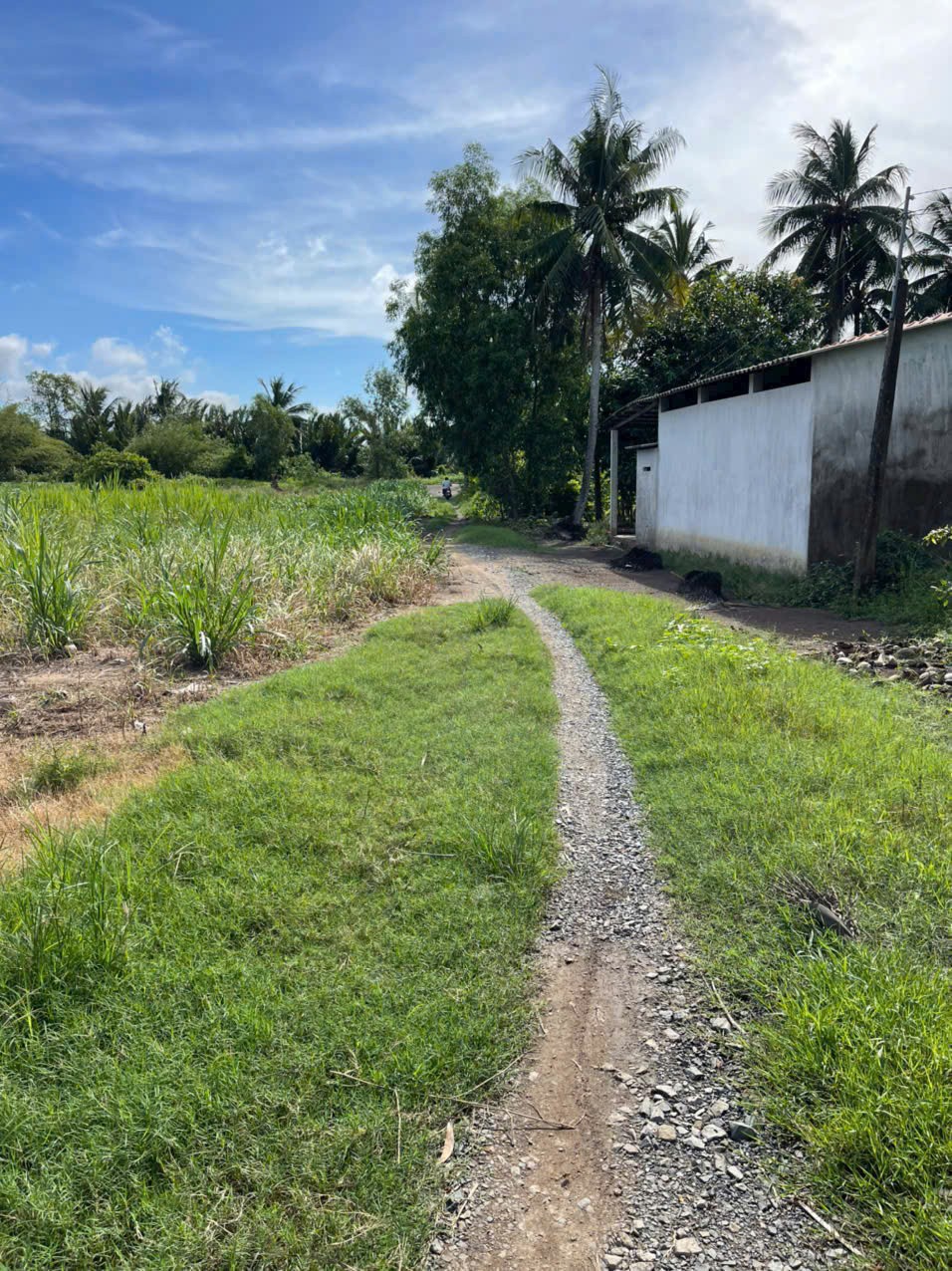 Bán đất vườn 2 mặt tiền kênh dt 5000m2 ở xã An Thạnh, Bến Lức giá 3,75 tỷ 3