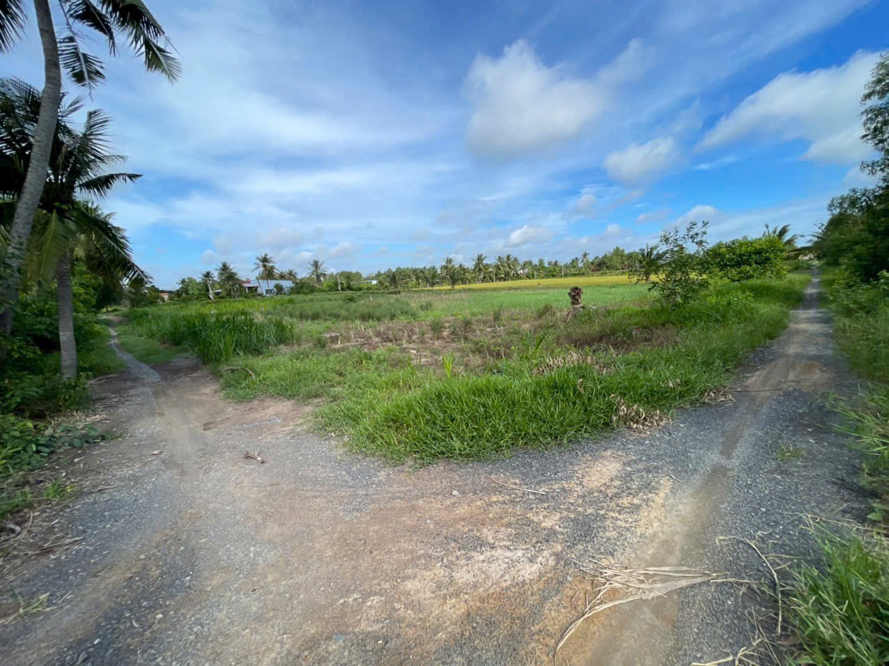 Bán đất vườn 2 mặt tiền kênh dt 5000m2 ở xã An Thạnh, Bến Lức giá 3,75 tỷ 4