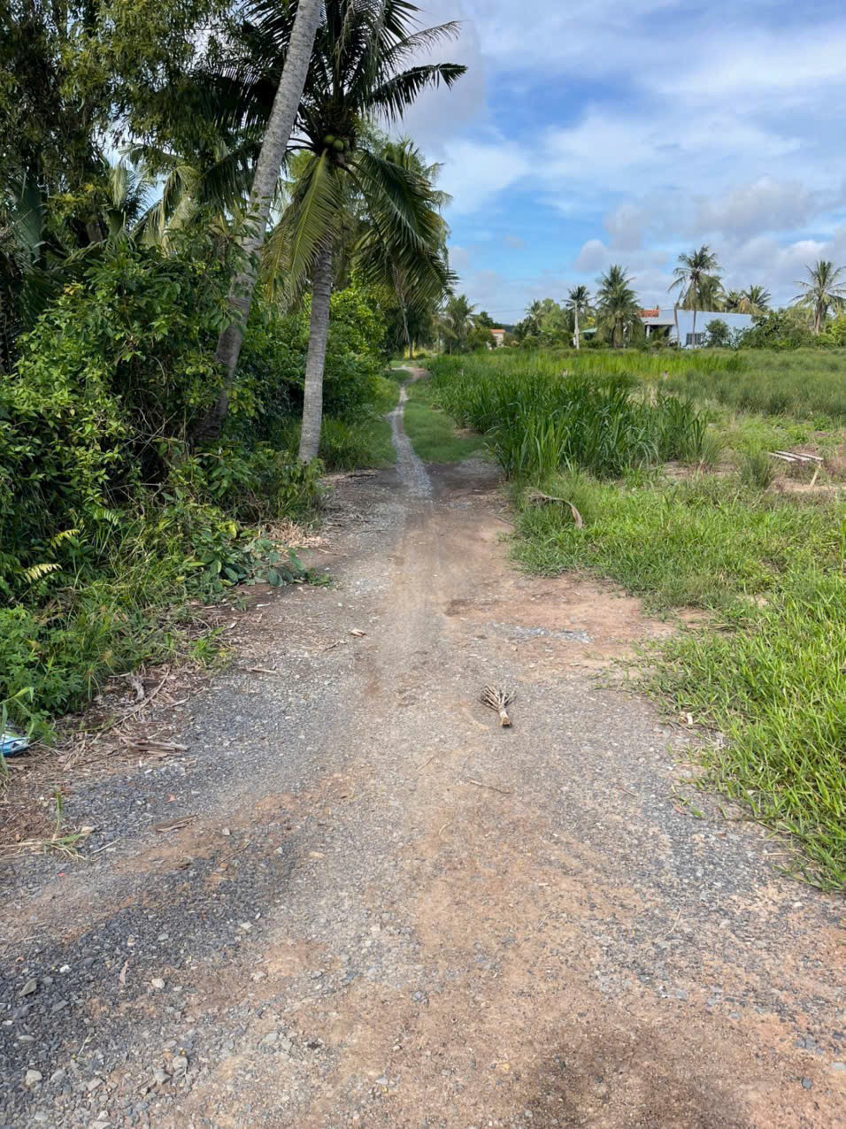 Bán đất vườn 2 mặt tiền kênh dt 5000m2 ở xã An Thạnh, Bến Lức giá 3,75 tỷ 5